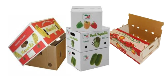 Carton Boxes